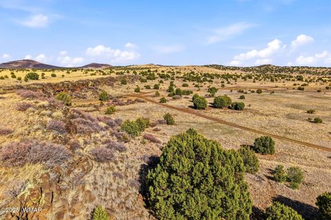 Tiny photo for 00 TBD, Greer, AZ 85927 (MLS # 258712)