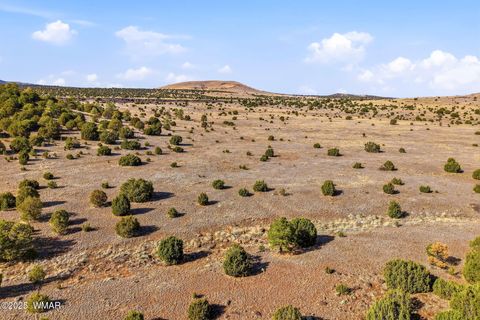 Tiny photo for 00 TBD, Greer, AZ 85927 (MLS # 258712)