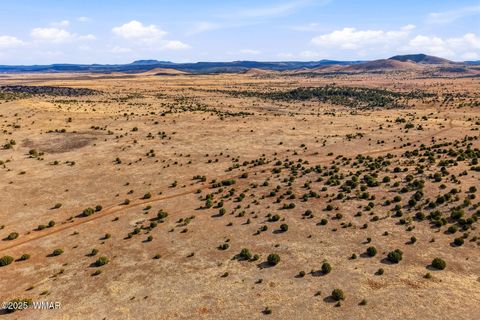 Tiny photo for 00 TBD, Greer, AZ 85927 (MLS # 258712)