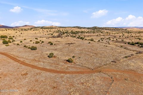 Tiny photo for 00 TBD, Greer, AZ 85927 (MLS # 258712)