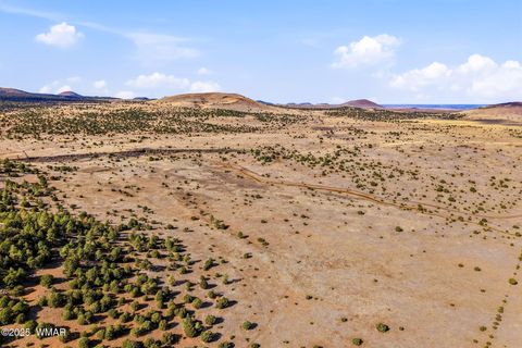 Tiny photo for 00 TBD, Greer, AZ 85927 (MLS # 258712)