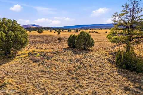 Tiny photo for 00 TBD, Greer, AZ 85927 (MLS # 258712)