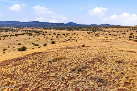 Tiny photo for 00 TBD, Greer, AZ 85927 (MLS # 258712)