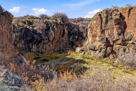 Tiny photo for 00 TBD, Greer, AZ 85927 (MLS # 258712)