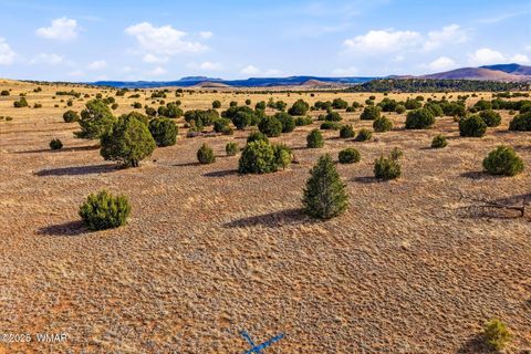 Tiny photo for 00 TBD, Greer, AZ 85927 (MLS # 258712)