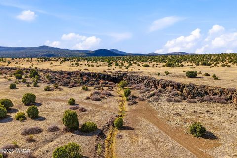 Tiny photo for 00 TBD, Greer, AZ 85927 (MLS # 258712)