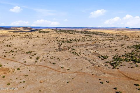 Tiny photo for 00 TBD, Greer, AZ 85927 (MLS # 258712)