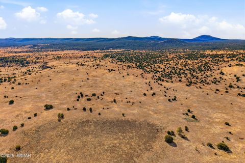 Tiny photo for 00 TBD, Greer, AZ 85927 (MLS # 258712)