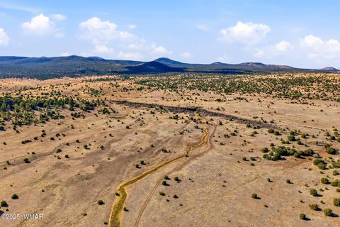 Tiny photo for 00 TBD, Greer, AZ 85927 (MLS # 258712)