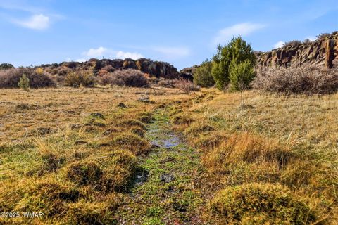 Photo of 00 TBD, Greer, AZ 85927 (MLS # 258712)