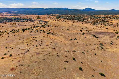 Tiny photo for 00 TBD, Greer, AZ 85927 (MLS # 258712)