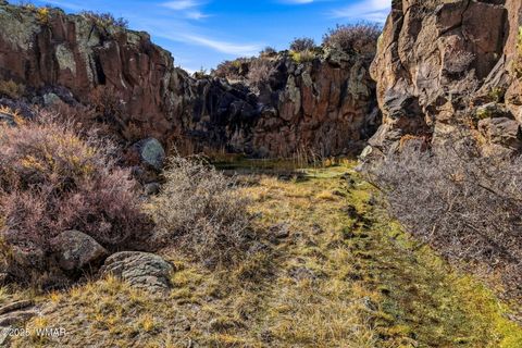 Tiny photo for 00 TBD, Greer, AZ 85927 (MLS # 258712)