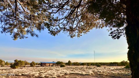 Tiny photo for 280 N8355 Loop, Concho, AZ 85924 (MLS # 258505)