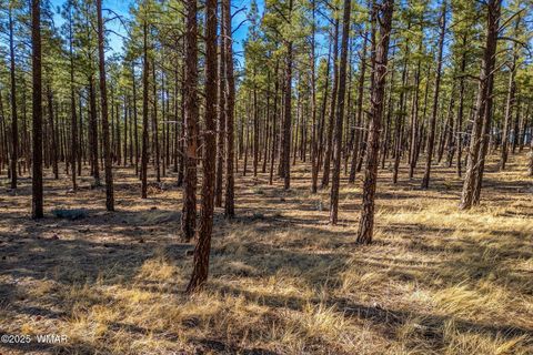 Tiny photo for TBD Wilderness Drive, Lakeside, AZ 85929 (MLS # 255067)