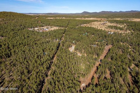 Tiny photo for TBD Wilderness Drive, Lakeside, AZ 85929 (MLS # 255067)