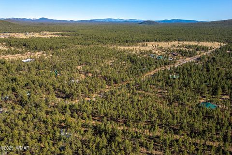 Tiny photo for TBD Wilderness Drive, Lakeside, AZ 85929 (MLS # 255067)