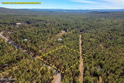 Tiny photo for TBD Wilderness Drive, Lakeside, AZ 85929 (MLS # 255067)