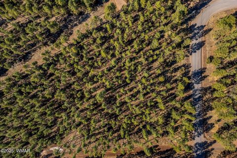 Tiny photo for TBD Wilderness Drive, Lakeside, AZ 85929 (MLS # 255067)