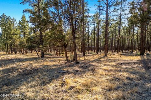 Tiny photo for TBD Wilderness Drive, Lakeside, AZ 85929 (MLS # 255067)