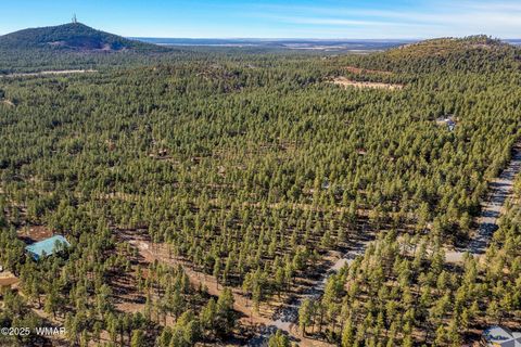 Tiny photo for TBD Wilderness Drive, Lakeside, AZ 85929 (MLS # 255067)