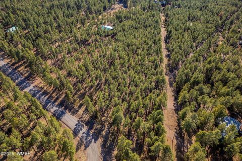Tiny photo for TBD Wilderness Drive, Lakeside, AZ 85929 (MLS # 255067)
