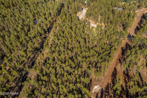 Tiny photo for TBD Wilderness Drive, Lakeside, AZ 85929 (MLS # 255067)