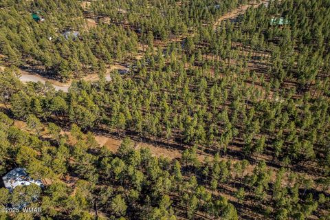 Tiny photo for TBD Wilderness Drive, Lakeside, AZ 85929 (MLS # 255067)