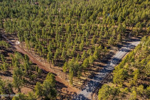 Tiny photo for TBD Wilderness Drive, Lakeside, AZ 85929 (MLS # 255067)