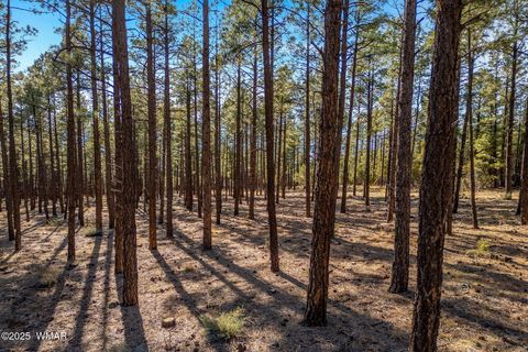 Photo of TBD Wilderness Drive, Lakeside, AZ 85929 (MLS # 255067)