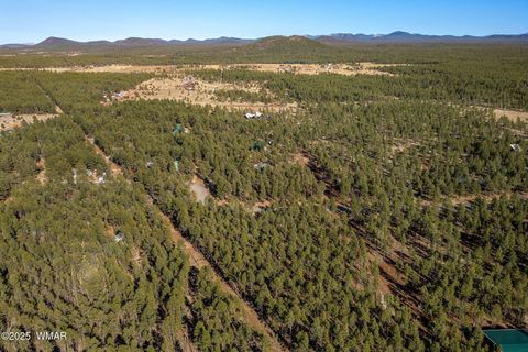 Tiny photo for TBD Wilderness Drive, Lakeside, AZ 85929 (MLS # 255067)