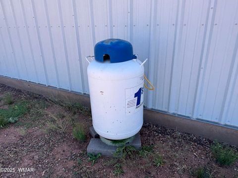 Tiny photo for 821 N Peach Blossom Ln. Ln, Snowflake, AZ 85937 (MLS # 256166)