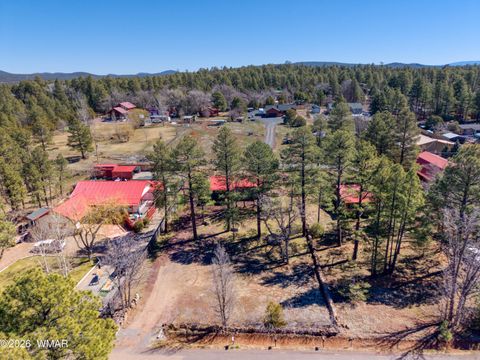 Tiny photo for 2547 Pima Way, Lakeside, AZ 85929 (MLS # 259973)