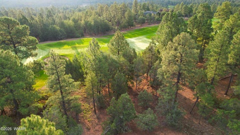 Tiny photo for 1581 S Gamble Oak Road, Show Low, AZ 85901 (MLS # 262717)