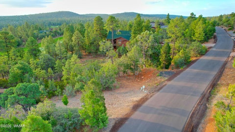 Tiny photo for 1581 S Gamble Oak Road, Show Low, AZ 85901 (MLS # 262717)