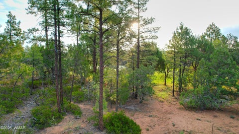 Tiny photo for 1581 S Gamble Oak Road, Show Low, AZ 85901 (MLS # 262717)