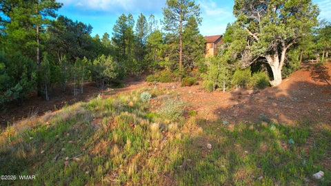 Tiny photo for 1581 S Gamble Oak Road, Show Low, AZ 85901 (MLS # 262717)