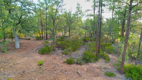 Tiny photo for 1581 S Gamble Oak Road, Show Low, AZ 85901 (MLS # 262717)