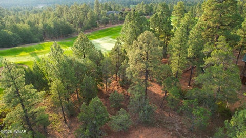 Tiny photo for 1581 S Gamble Oak Road, Show Low, AZ 85901 (MLS # 262717)