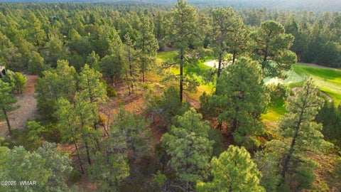 Tiny photo for 1581 S Gamble Oak Road, Show Low, AZ 85901 (MLS # 262717)
