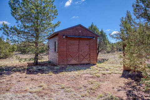 Tiny photo for 2741 Elk Trail Road, Overgaard, AZ 85933 (MLS # 258166)