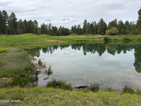 Tiny photo for 1600 S Vine Maple Lane, Show Low, AZ 85901 (MLS # 260898)