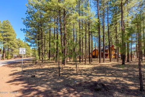 Tiny photo for 4583 Sky Hi Road, Pinetop, AZ 85935 (MLS # 262686)