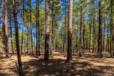 Tiny photo for 4583 Sky Hi Road, Pinetop, AZ 85935 (MLS # 262686)