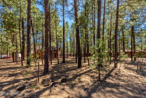 Tiny photo for 4583 Sky Hi Road, Pinetop, AZ 85935 (MLS # 262686)