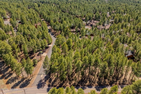 Tiny photo for 4583 Sky Hi Road, Pinetop, AZ 85935 (MLS # 262686)