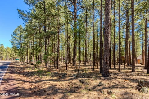 Tiny photo for 4583 Sky Hi Road, Pinetop, AZ 85935 (MLS # 262686)
