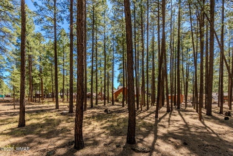 Tiny photo for 4583 Sky Hi Road, Pinetop, AZ 85935 (MLS # 262686)