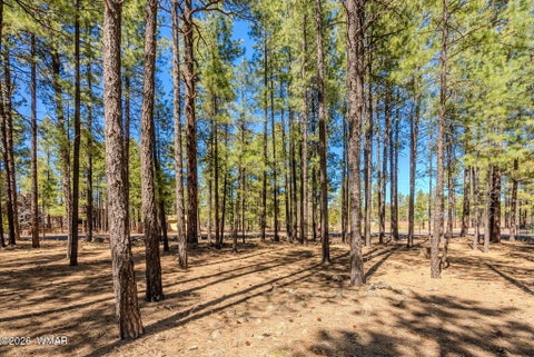 Tiny photo for 4583 Sky Hi Road, Pinetop, AZ 85935 (MLS # 262686)