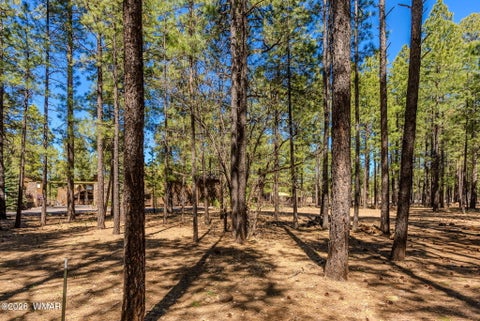 Tiny photo for 4583 Sky Hi Road, Pinetop, AZ 85935 (MLS # 262686)