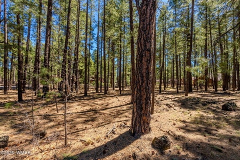 Tiny photo for 4583 Sky Hi Road, Pinetop, AZ 85935 (MLS # 262686)